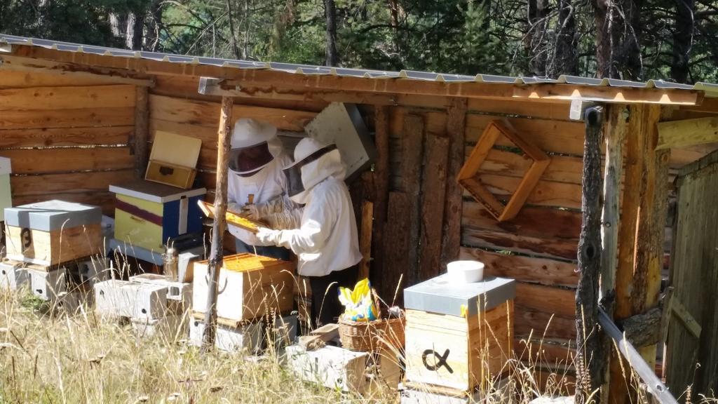 Studio Barcelonnette Ubaye, Provence Enchastrayes Eksteriør billede